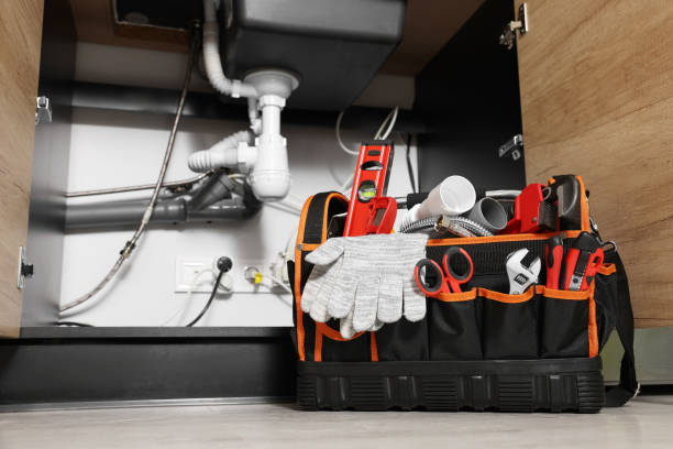 Best Plumbing Repair Near Me  in Pearland, TX